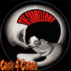 Chameleons Pin 2.25