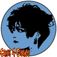 Siouxsie & The Banshees 2.25
